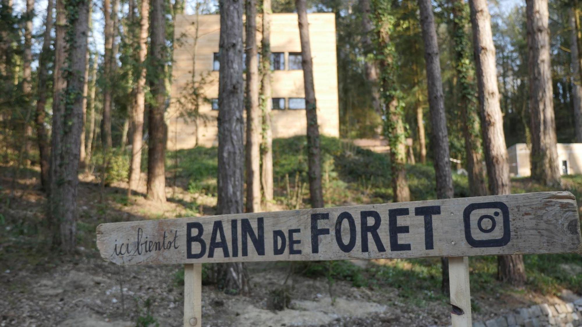 Bain De Foret - Lodges Cosy & Spa Neufchâtel-Hardelot Habitación foto